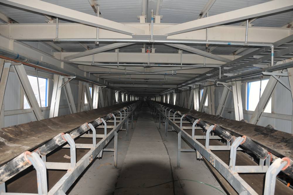 Livestock steel structure